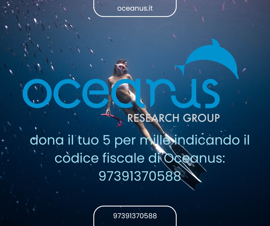 Dona il 5x1000 ad Oceanus indicando il Codice fiscale: 97391370588